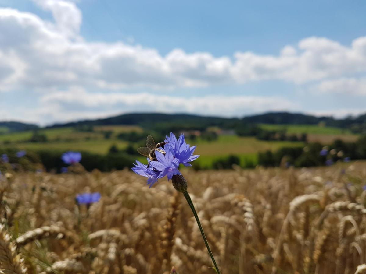 Vila Chaloupka u lesa Borotin Exteriér fotografie